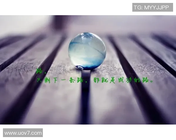 壮壮的足球明星如何通过坚持与努力实现梦想的励志故事